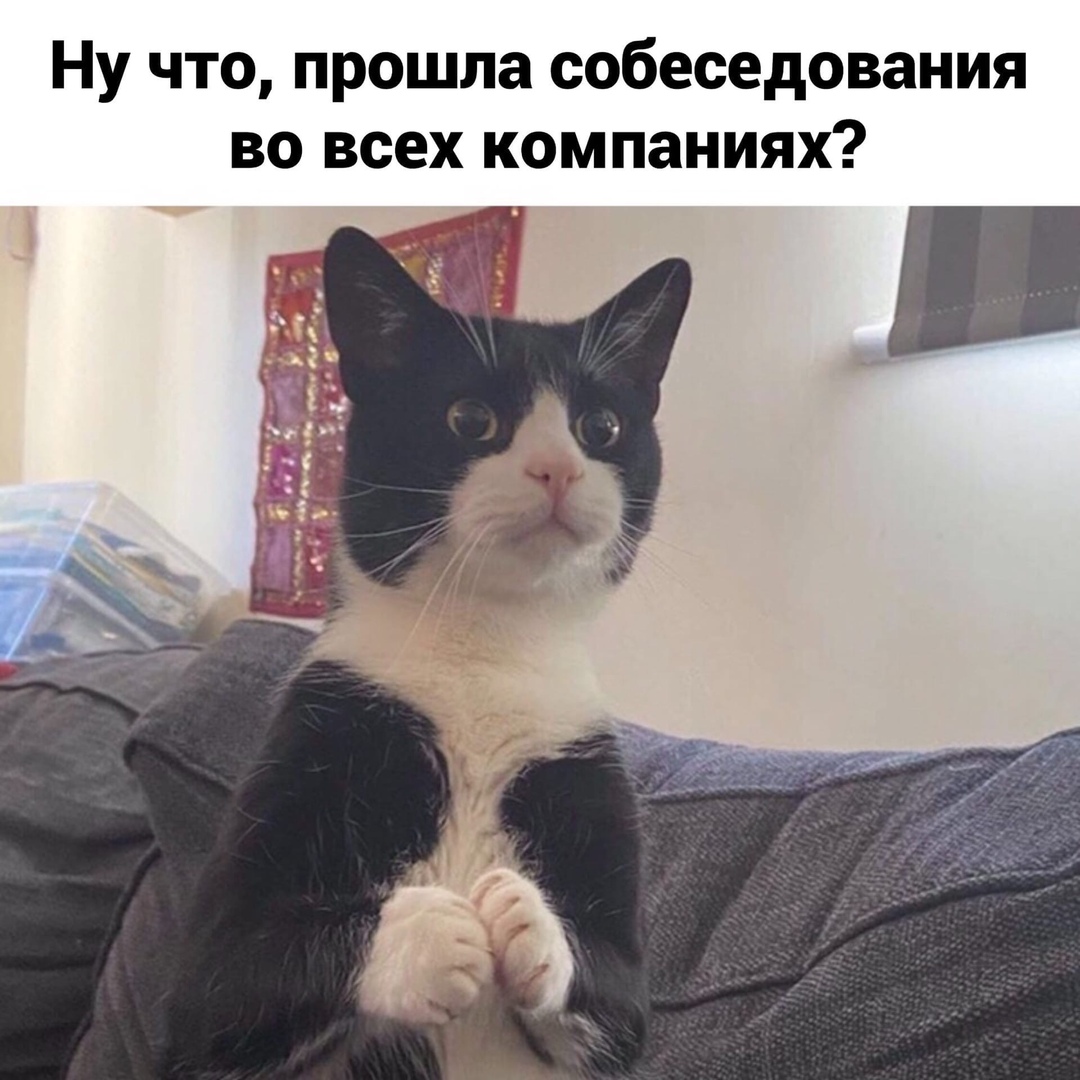 Ну что прошла собеседования во всех компаниях