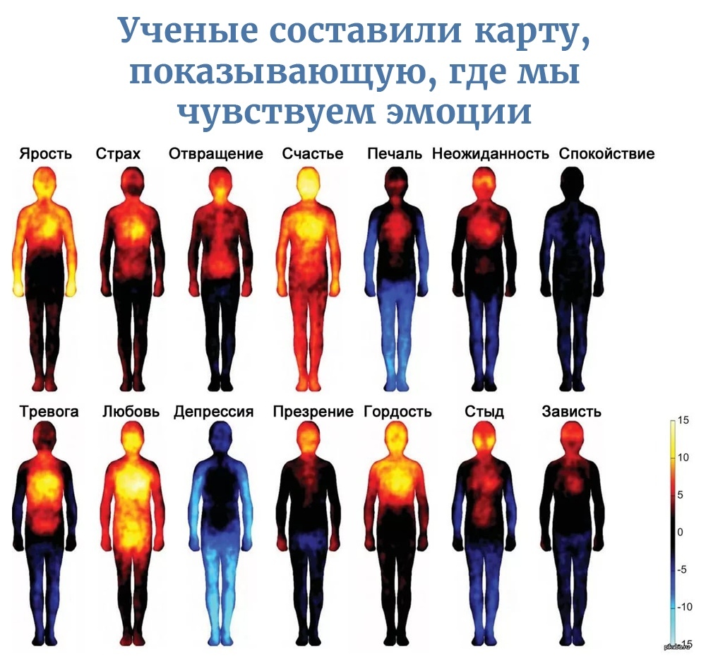 Ученые составили карту ПОКдЗЬіВдЮЩУЮ где МЫ ЧУВСТВУёМ ЭМОЦИИ Ярость Страх Отвращение Счастье Печаль Неожиданность Спокойствие Ф Тревога Любовь депрессия Презрение Гордость Стыд Зависть _15 Фі