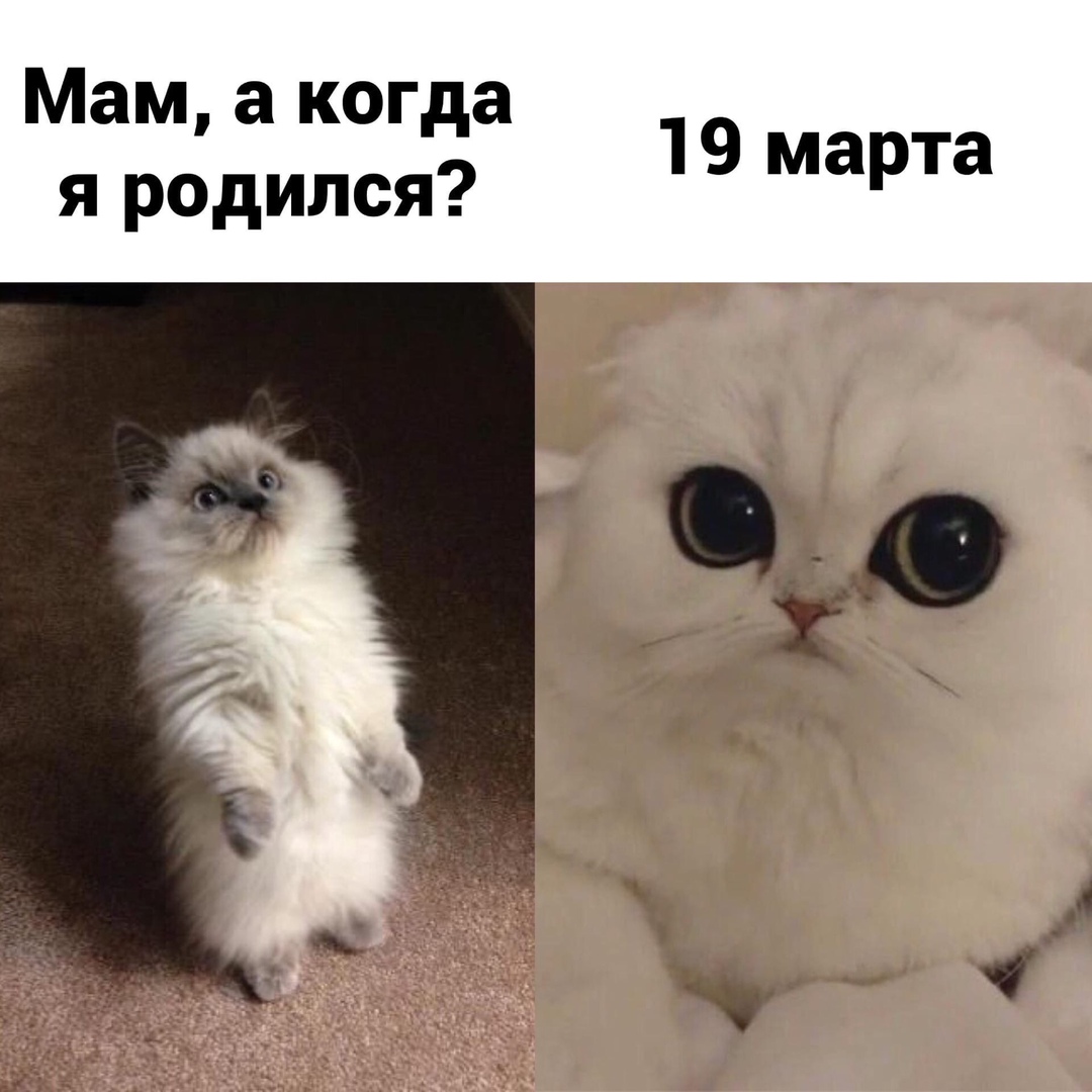 Мам а когда я родился 19 марта