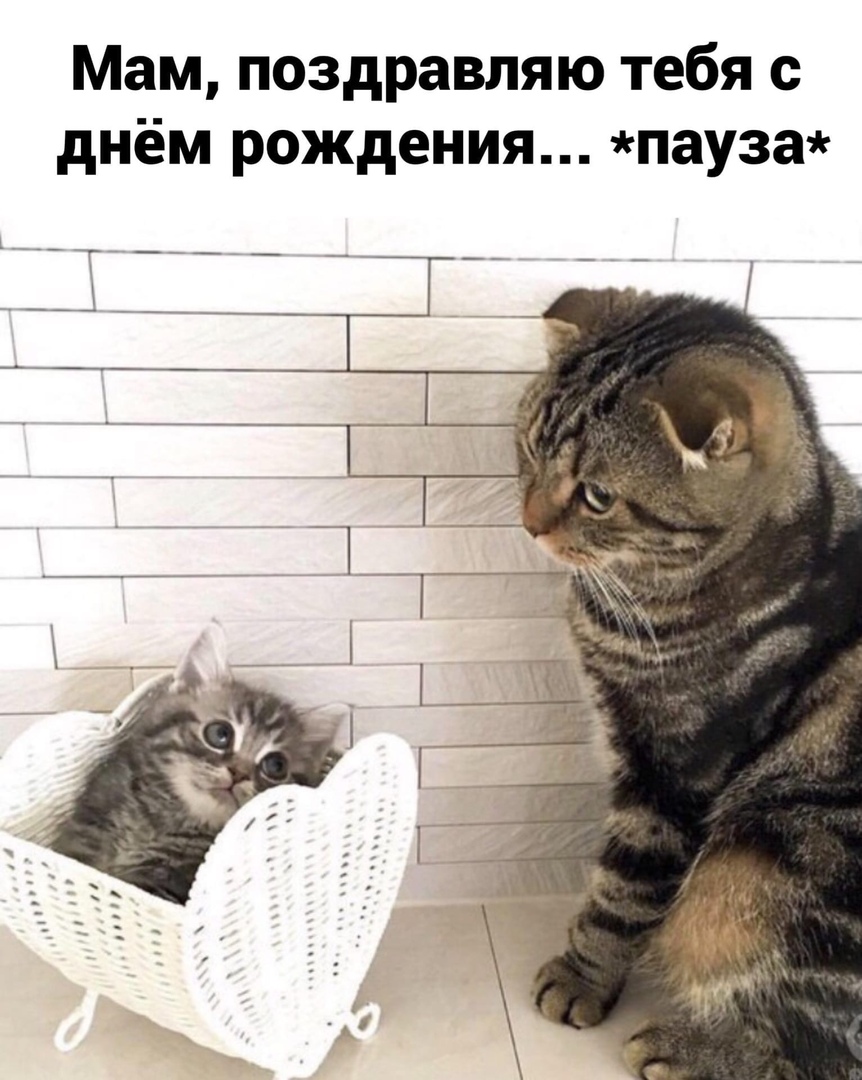 Мам поздравляю тебя с днём рождения пауза