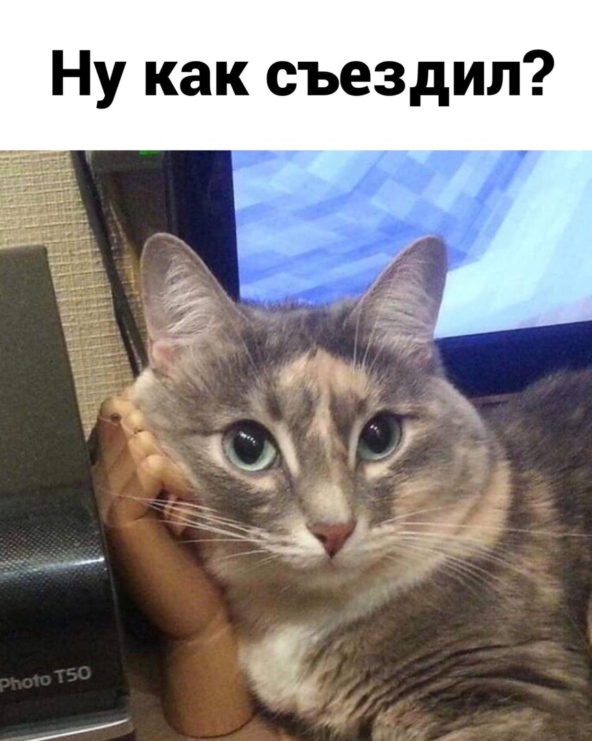 Ну как съездил