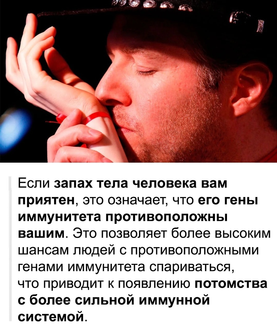 Если запах тела человека вам приятен это означает что его гены иммунитета противоположны вашим Это позволяет более высоким шансам людей с противоположными генами иммунитета спариваться что приводит к появлению потомства с более сильной иммунной системой