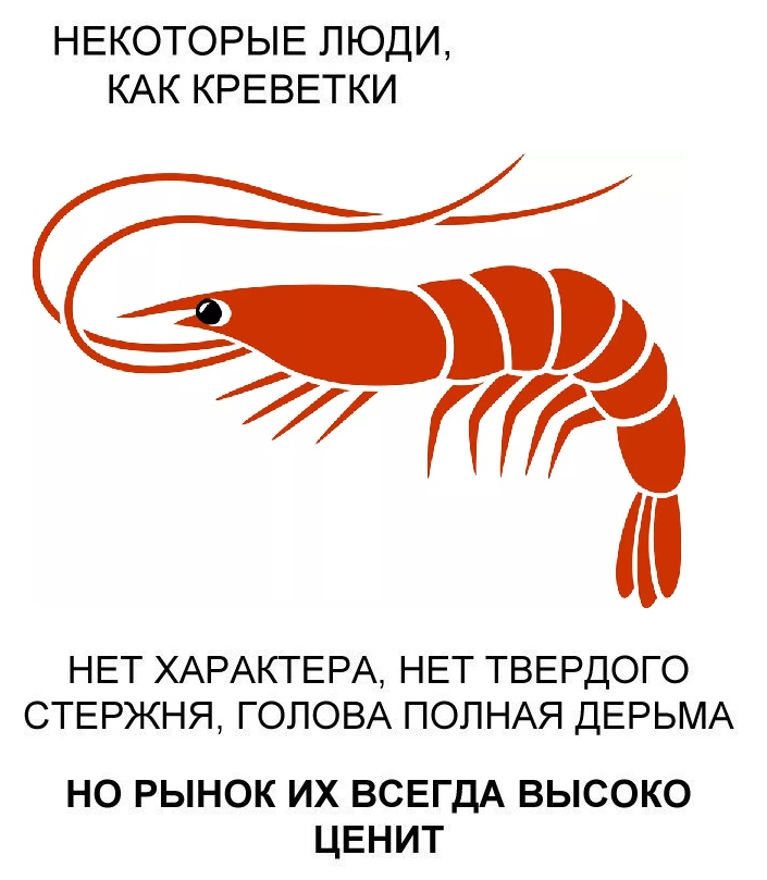 НЕКОТОРЫЕ ЛЮДИ КАК КРЕВЕТКИ НЕТ ХАРАКТЕРА НЕТ ТВЕРДОГО СТЕРЖНЯ ГОЛОВА ПОЛНАЯ ДЕРЬМА но рынок их ВСЕГДА высоко ЦЕНИТ