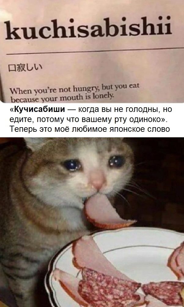 КпеЪізаЬізЬіі ШЖЫА Ъсп опгс по шпдгу Ьщ уоп са ссацзі уоцг тошЬ 15 опсіу Кучисабиши когда вы не голодны но едите ПОТОМУ ЧТО Вашему рту ОДИНОКО Теперь ЭТО МОЁ Любимое японское СЛОВО