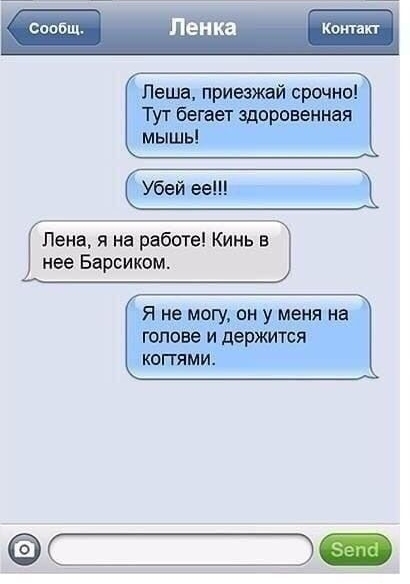 Сопб Пенка Монтан Аз 9 Лена я на рабете Кинь в нее Барсиком