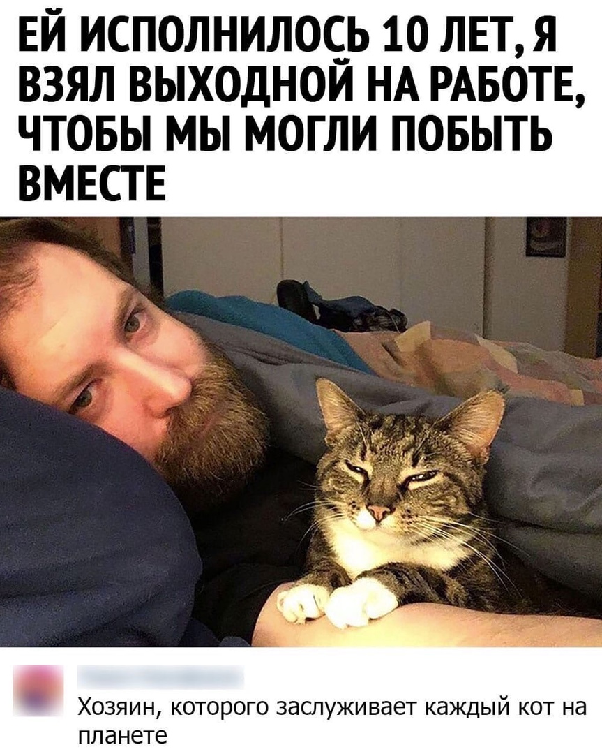 ЕЙ ИСПОЛНИЛ0С_Ь 10 ЛЕТ Я ВЗЯЛ ВЫХОДНОИ НА РАБОТЕ ЧТОБЫ МЫ МОГЛИ ПОБЫТЬ ВМЕСТЕ Хозяин которого заслуживает каждый кот на планете