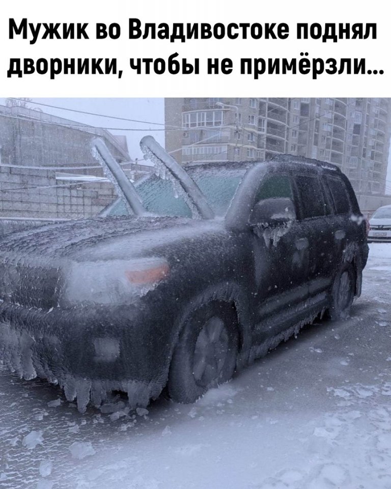 Мужик во Владивостоке поднял дворники чтобы не примёрзли гут