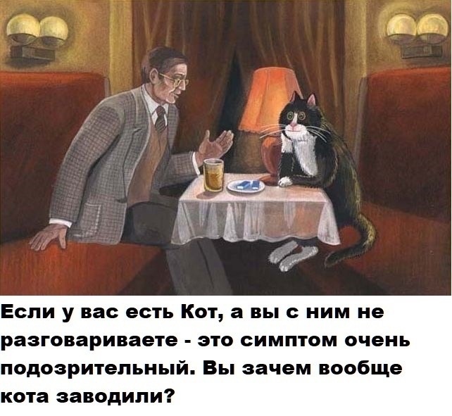 Если у вас есть Кот а вы с ним не разговариваете это симптом очень подозрительный Вы зачем вообще кота заводили