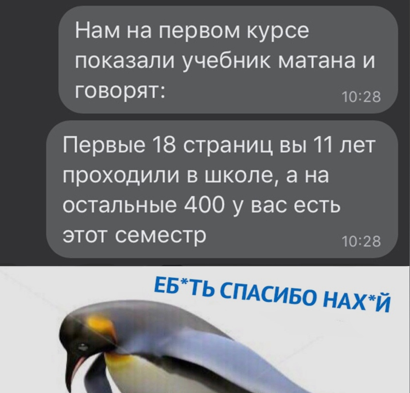 Нам на первом курсе показали учебник метана и ГоворЯТ 10128 Первые 18 страниц вы 11 лет проходили в школе а на остальные 400 у вас есть этот семестр 1028