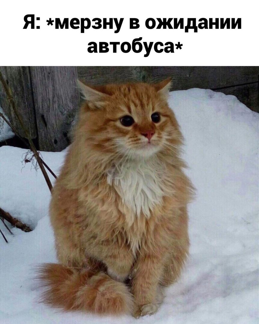 мерзну в ожидании автобуса Я