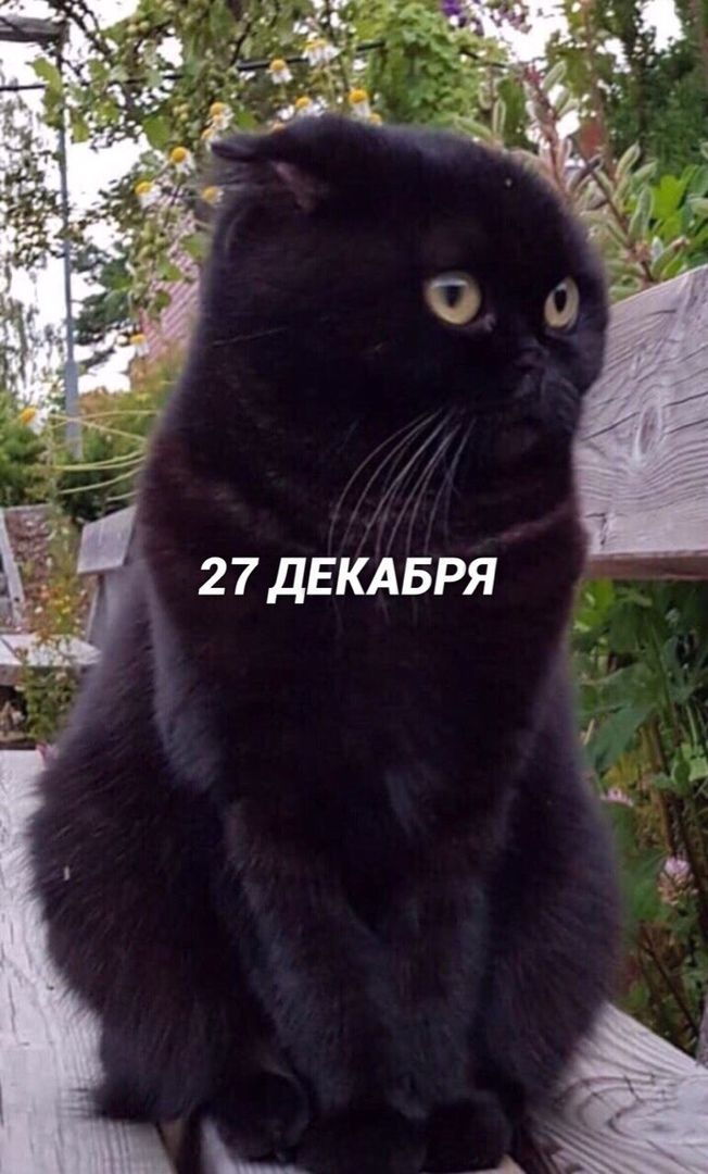 27 ДЕКАБРЯ