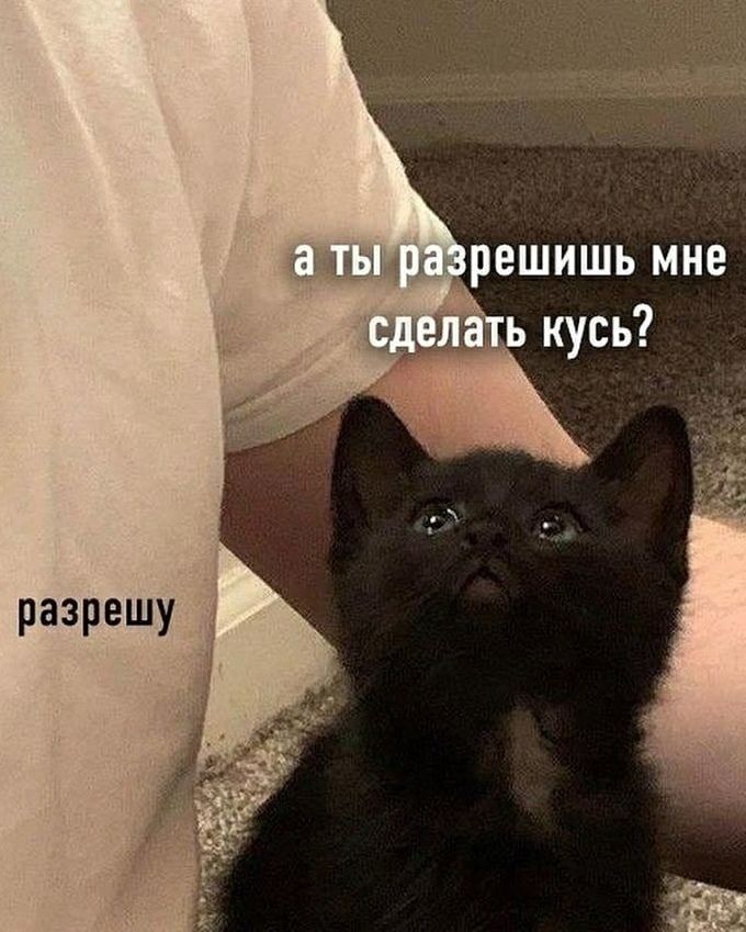 ешишь мне _ кусь разрешу