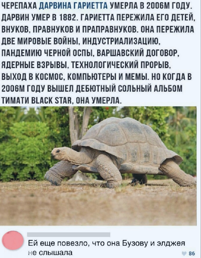 ЧЕРЕПАХА ДАРВИНА ГАРИЕТТА УМЕРПА В гппвм ГОДУ дАРВИН УМЕР В 1882 ГАРИЕТТА ПЕРЕЖИПА ЕГО ДЕТЕЙ ВНУКОВ ПРАВНУКОВ И ПРАПРАВНУКОВ ОНА ПЕРЕЖИЛА ЦВЕ МИРОВЫЕ ВОЙНЫ ИНДУСТРИАЛИЗАЦИЮ ПАНДЕМИЮ ЧЕРНОЙ ООПЫ ВАРШАВОКИИ ДОГОВОР ЯДЕРНЫЕ ВЗРЫВЫ ТЕХНОЛОГИЧЕСКИЙ ПРОРЫВ ВЫХОД В КОСМОС КОМПЬЮТЕРЫ И МЕМЫ НО КОГДА В 2ООБМ ГОДУ ВЫШЕП ДЕБЮТНЫИ СОЛЬНЫИ АЛЬБОМ ТИМАТИ ВГАВК 8ТАН ОНА УМЕРЛА Ей еще повезло что она Бузову и эпд