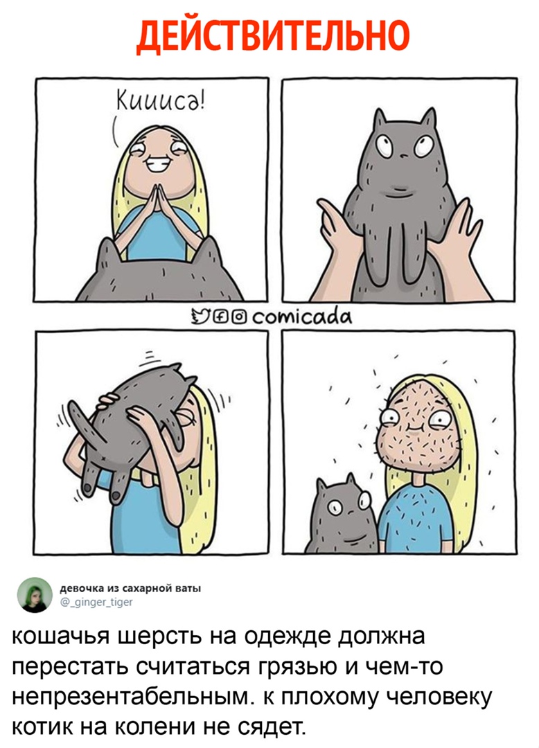 ДЕЙСТВИТЕЛЬНО девочка из сахарной шы 9т9ещщеі КОШЭЧЬЯ ШЭРСТЬ на одежде должна переСТЭТЬ СЧИТЭТЬСЯ ГрЯЗЬЮ И чем ТО непрезентабепьным К ПЛОХОМУ человеку КОТИК на колени не сядет