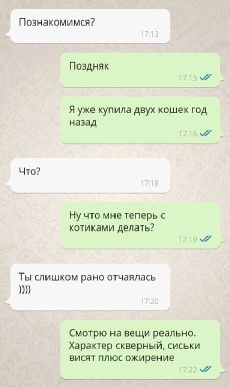 Познакомимся Поздняк п Я уже купила двух кошек юд назад д Что Ну что мне теперь котиками делать Ты слишком рано отчаялась Смотрю на вещи реально Характер скверный сиськи ЕИСЯТ ПЛЮС ОЖИРЕНИЕ ш