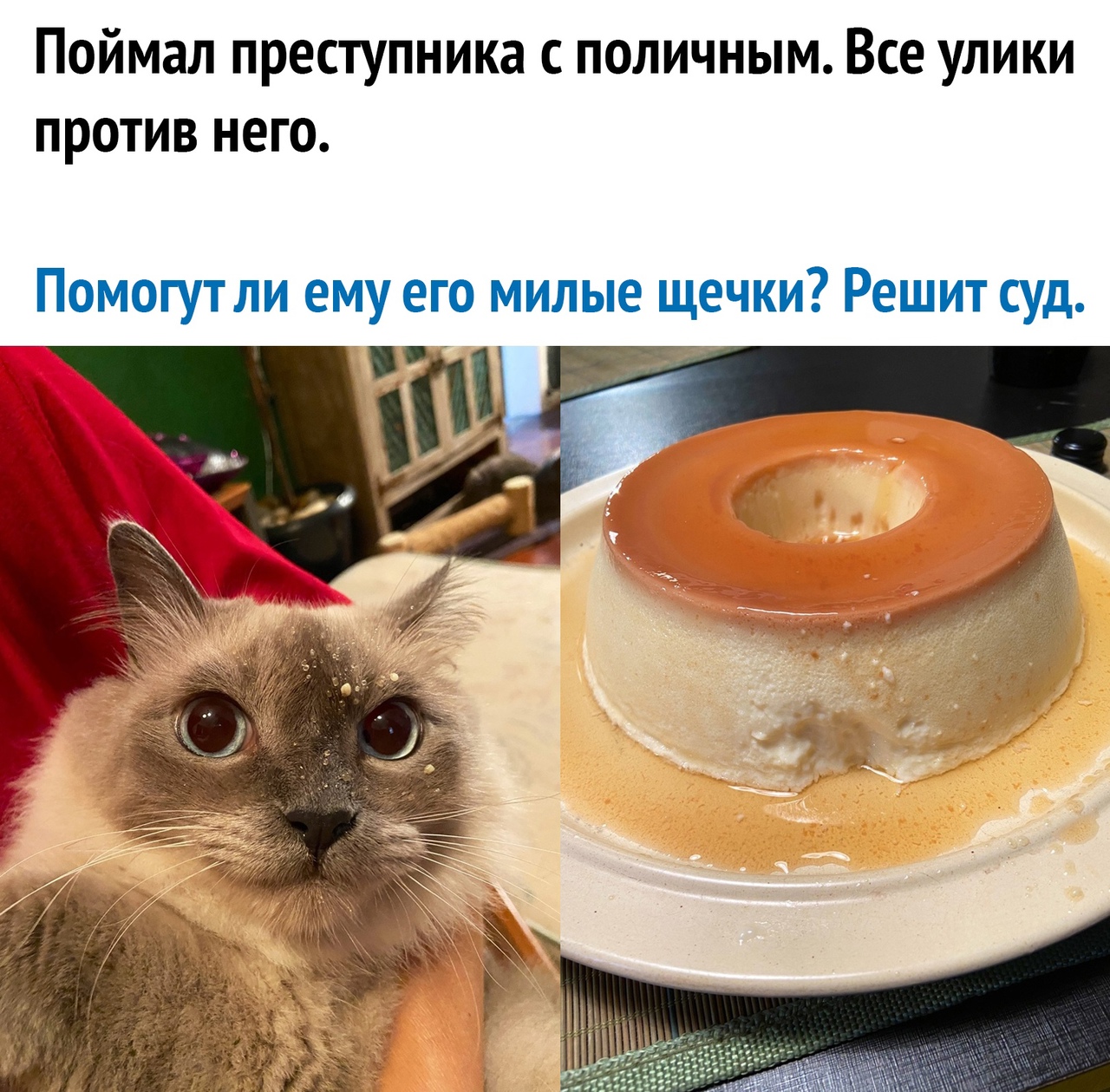 Поймал преступника с поличным Все улики против него Помогутли ему его милые щечки Решит суд