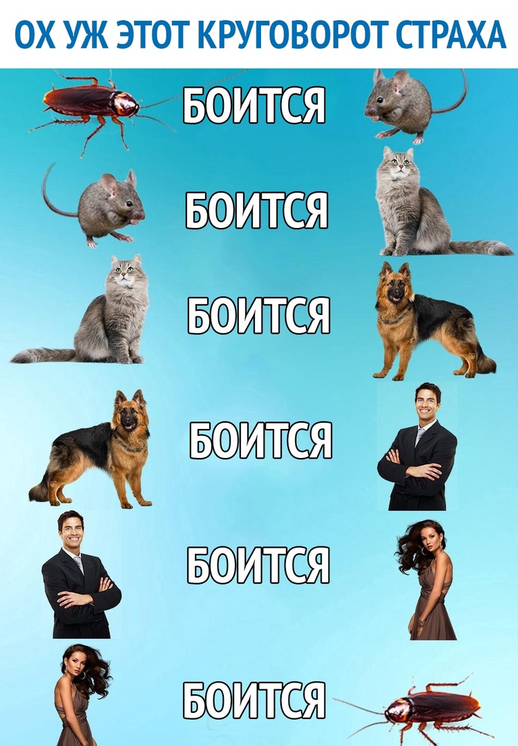 ОХ УЖ ЭТОТ КРУГОВОРОТ СТРАХА _дёь А БЯФИТС БФИТСЯ Тийт