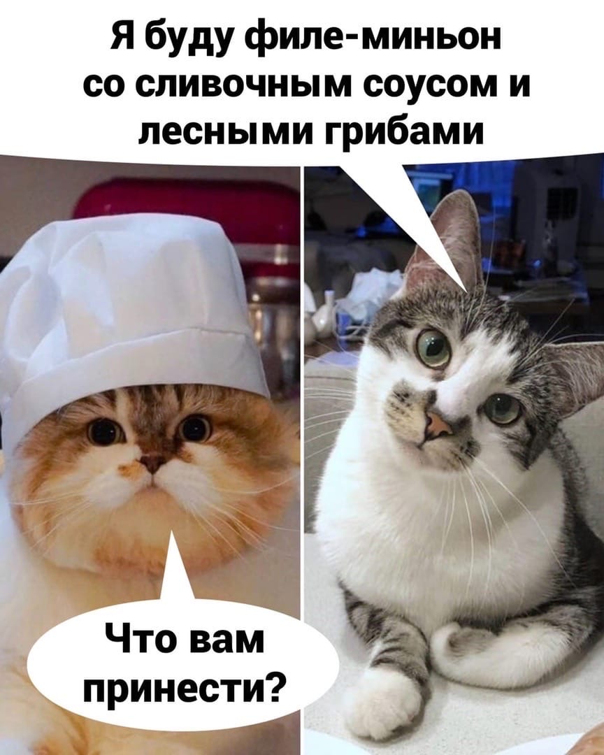 Я буду филе миньон со сливочным соусом и лесными грибами принести Ж