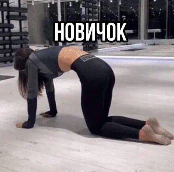Ёг _ г _НПВИЧ