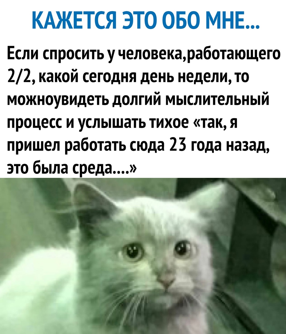 КАЖЕТСЯ ЭТО ОБО МНЕ Если спросить у человекаработающего 22 какой сегодня день недели то можноувидеть долгий мыслительный процесс и услышать тихое так я пришел работать сюда 23 года назад это была среда