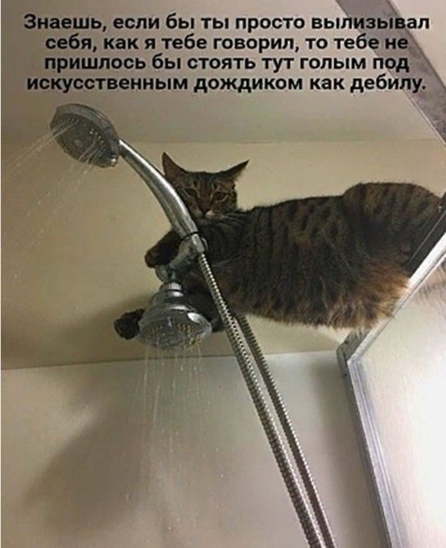 Знаешь если бы ты просто выпивьяЪдл себя как я тебе говорил то тебе не пришлось бы стоять тут голым под искусственным дождиком как дебилу 11
