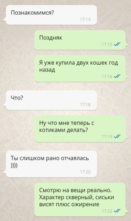 Познакомимся Поэдняк п Я уже купила двух кошек год назад Что Ну что мне теперь котиками делать Ты слишком рано отчаялась Смотрю на вещи реально Характер скверный сиськи ЕИСЯТ ПЛЮС ОЖИРЕНИЕ
