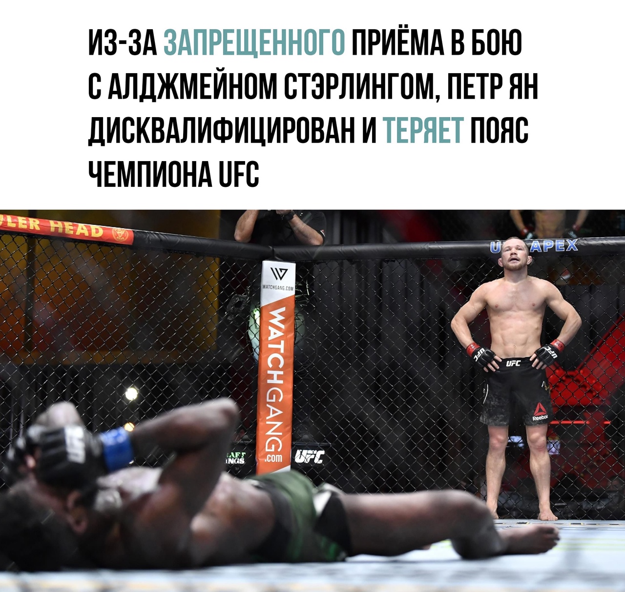 ИЗ ЗА ПРИЁМА В БПЮ САЛДЖМЕЙНПМ СТЭРЛИНГПМ ПЕТР ЯН ДИСКВАЛИФИЦИРОВАН И ПОНВ ЧЕМПИПНА ПГС грыже н519м