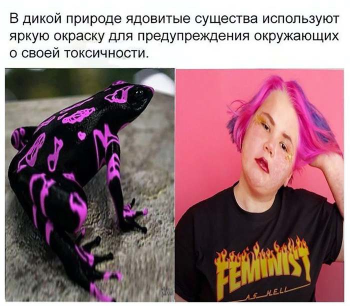 В дикой природе ядовитые существа используют яркую окраску для предупреждения окружающих о своей токсичности