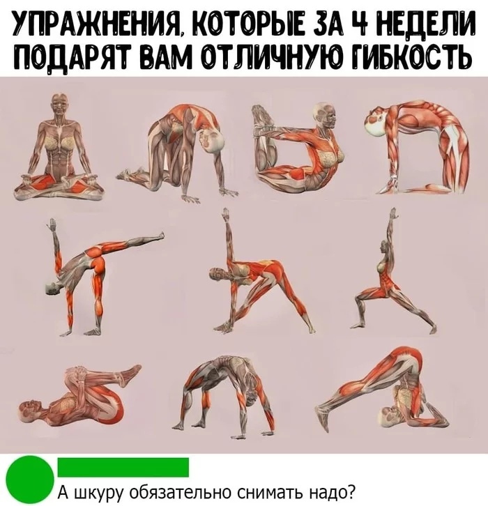 УПРАЖНЕНИЯ КОТОРЫЕ ЗА Ч НЕДЕЛИ ПОДАРЯТ ВАМ ОТЛИЧНУЮ ГИБКОСТЬ А шкуру _обязательно снимать надо