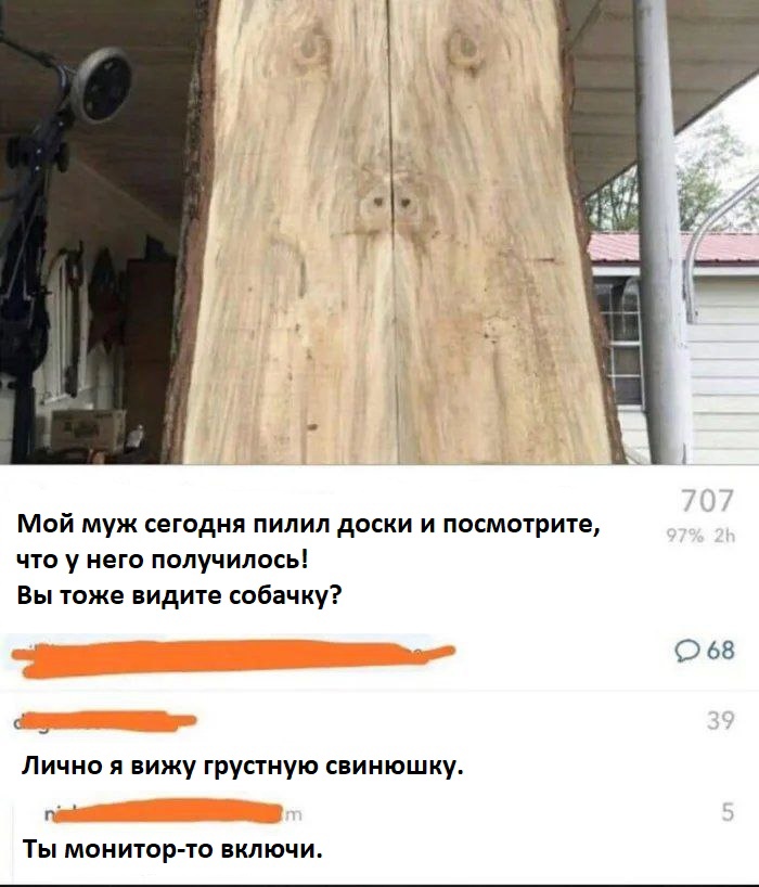 Мой муж сегодня пилил доски и посмотрите что у него получилось Вы тоже видите собачку 068 Лично я вижу грустную свинюшку г ТЫ МОНИТОР ТО ВКЛЮЧИ