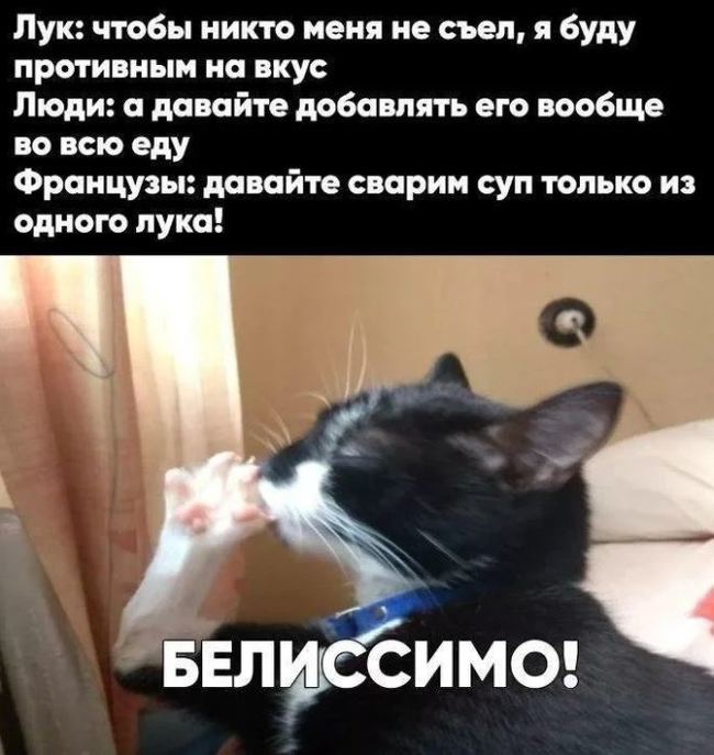 Лук чтобы никто меня не съел я буду противным на вкус Люди давайте добавлять его вообще во всю еду Французы давайте аварии суп только из одною лука