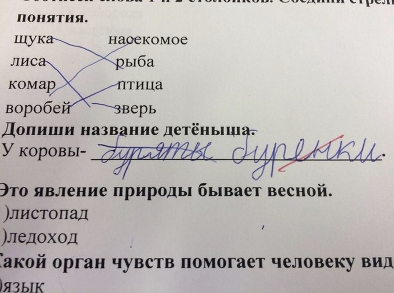 _ ___ _ чцц _ ип1 ппипіч У1рД1 Піі 1С4 ПОНЯТИЯ ЩУК НЭ КОМОС лис Ёба комар тица воробе зверь Допиши назв ние детёныш У коровы діцгіііші Это явление природы бывает весной листопад ледоход Такой орган чувств помогает человеку вид язык
