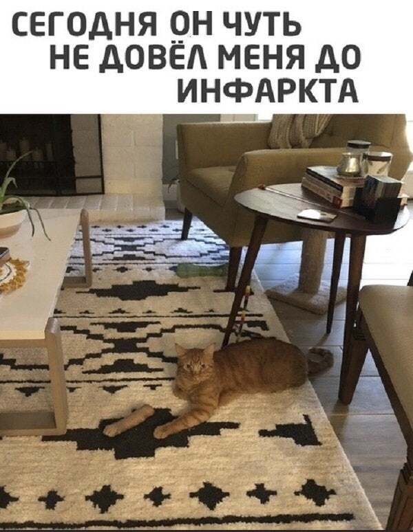 сегодня рн чуть не довед меня до инфдрктд дйі