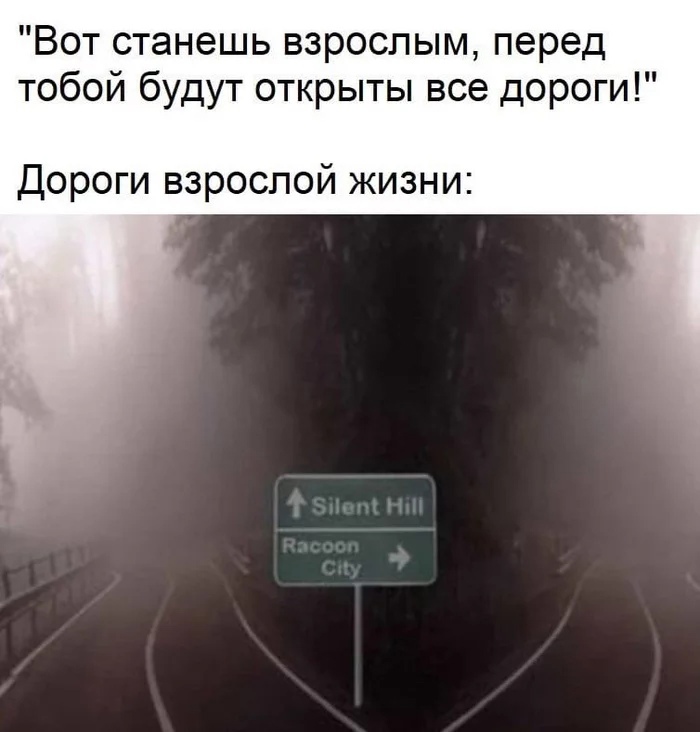 Вот станешь взрослым перед тобой будут открыты все дороги Дороги взрослой жизни