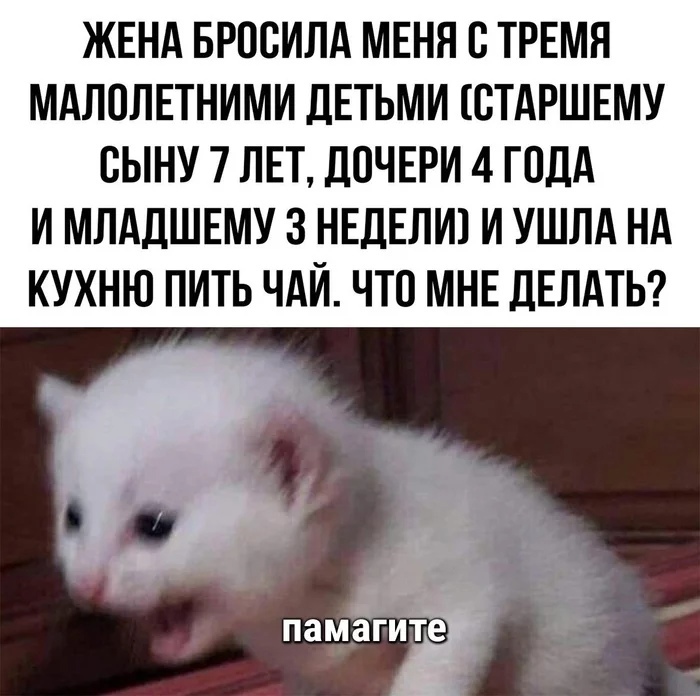 ЖЕНА БРОСИЛА МЕНЯ В ТРЕМН МАЛВЛЕТНИМИ ДЕТЬМИ СТАРШЕМУ БЫНУ 7 ЛЕТ ДОЧЕРИ 4 ГПДА И МЛАДШЕМУ 3 НЕДЕЛИ И УШЛА НА КУХНЮ ПИТЬ ЧАИ ЧТО МНЕ ДЕЛАТЬ памагите