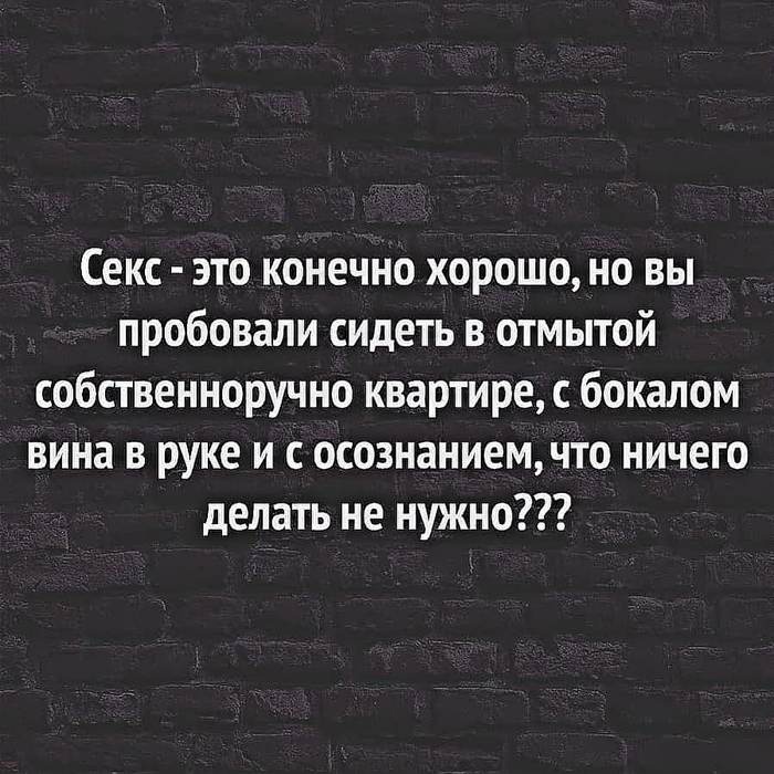 Секс это конечно хорошо но вы пробовали сидеть в отмытой собственноручно квартире с бокалом вина в руке и с осознаниемчто ничего делать не нужно