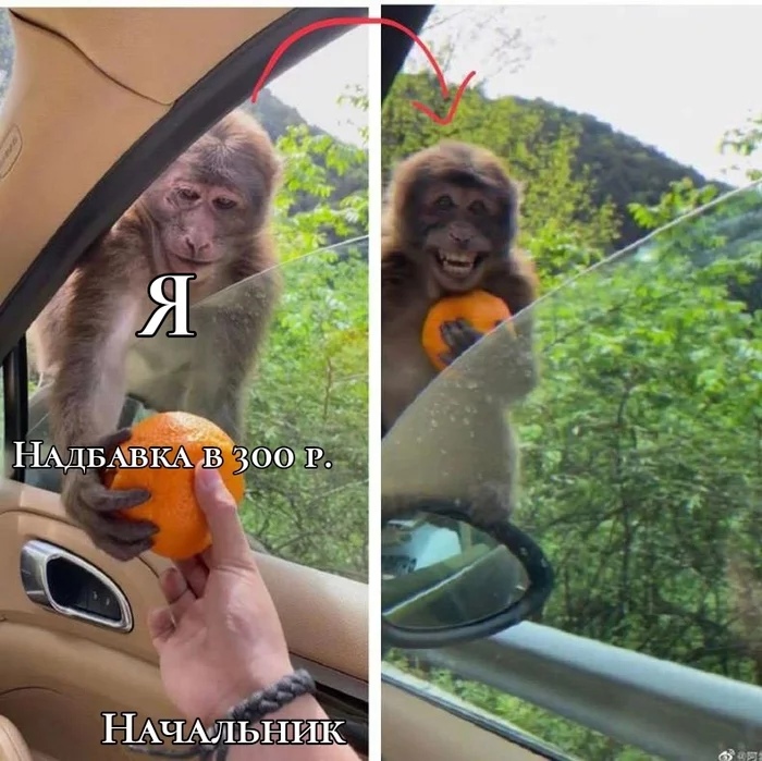 ее ё, н.адбавка луохохо лй а .