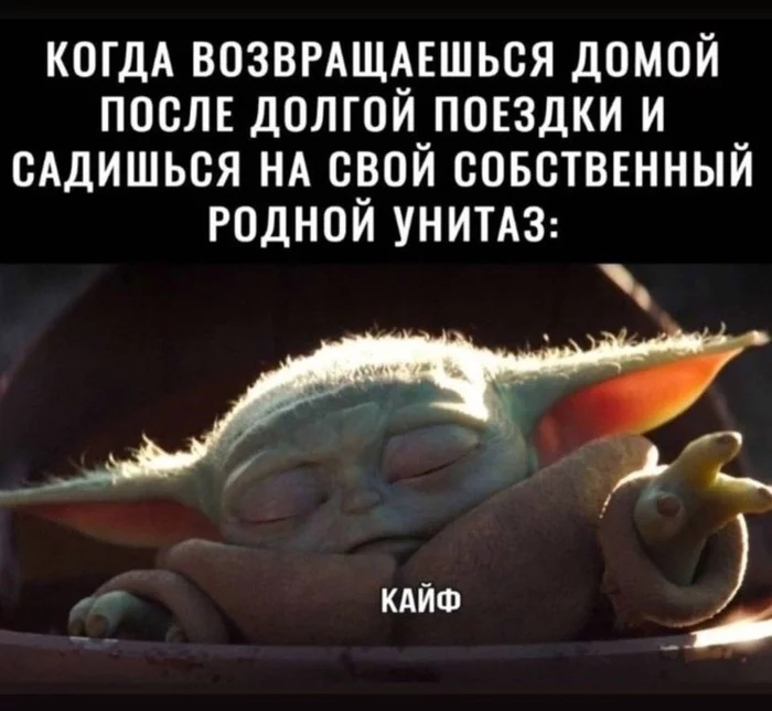 КОГДА ВОЗВРАЩЁЕШЬСЯ ДОМОЙ ПОСЛЕ ДОЛГ0И_П0Е3ДКИ И _ САДИШЬСЯ НА СРОИ СОБСТВЕННЫИ РОДНОИ УНИТАЗ А кдйФ И