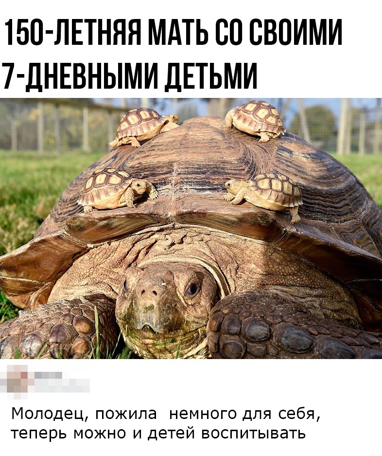 150 лпняя мдть со своими 7 днЕвными ДЕТЬМИ Молодец пожила немного для себя теперь можно и детей воспитывать