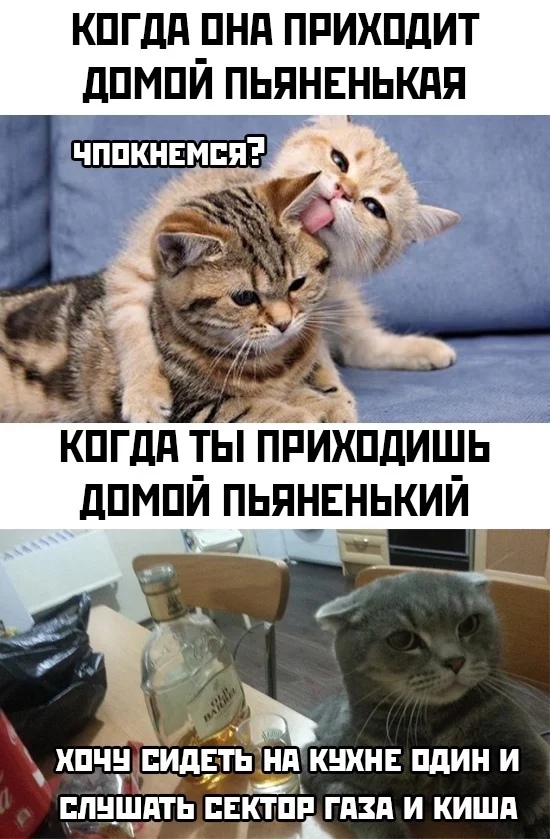 КПГДд _ПНд ПРИХПДИТ дПМПИ ПЬЯНЕНЬКПЯ чппкнвмпя пгдд ты БйщХишь дпмпи пьяненький пчн СИДЕТЬ нд КНКНЕ дин И БПНШПТЬ ПЕКТШПЗП И КИШП