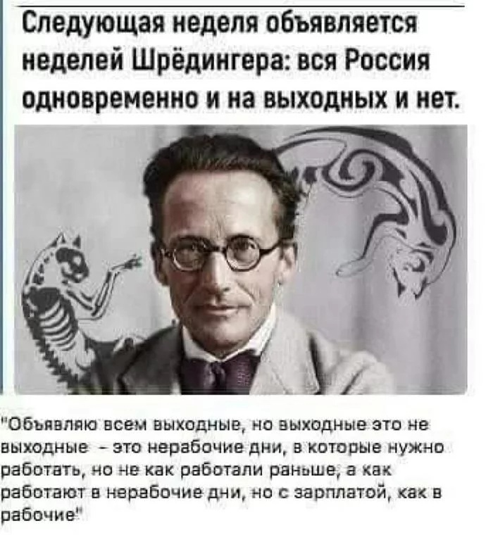 Следующая неделя объявляется неделей Шрёдингера вся Россия ОДНОВРЕМЕННО И на ВЫХОДНЫХ И НОТ Объявляю всем выходные на выходные это не выходные это нерабочие дни в которые нужно работать но не как работали рат лише как работают в нерабочие дни но с зарплатой как в рабочие