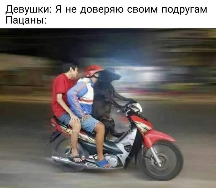 Девушки Я не доверяю своим подругам Пацаны