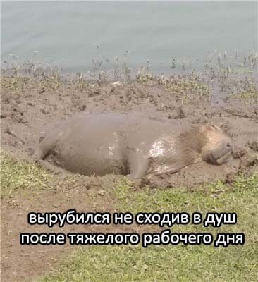 , вырубилсяне сходивв душ
