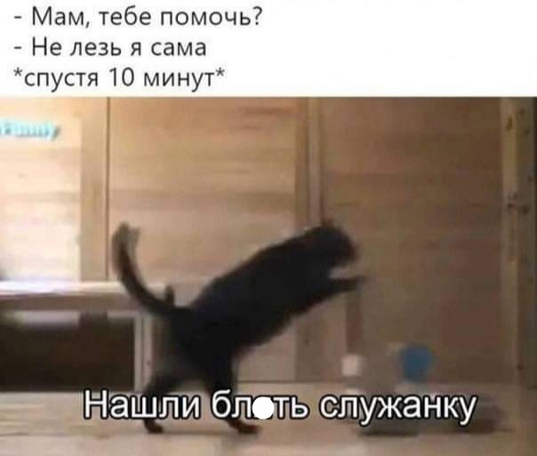 Мам тебе помочь Не лезь я сама спустя 10 минут _1НГа_шли блоть стужанку _