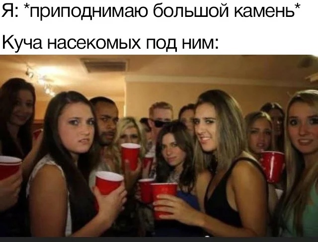Я приподнимаю большой камень КУЧЗ НЗСЭКОМЫХ ПОД НИМ