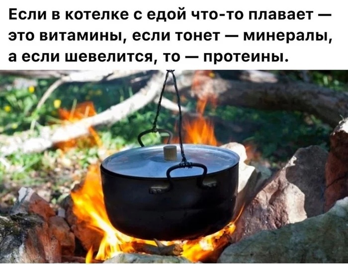 ЕСЛИ В котелке С едой ЧТО ТО плавает ЭТО ВИТЗМИНЫ если ТОНЭТ _ минералы а если ШВВЕЛИТСЯ ТО ПРОТЕИНЫ