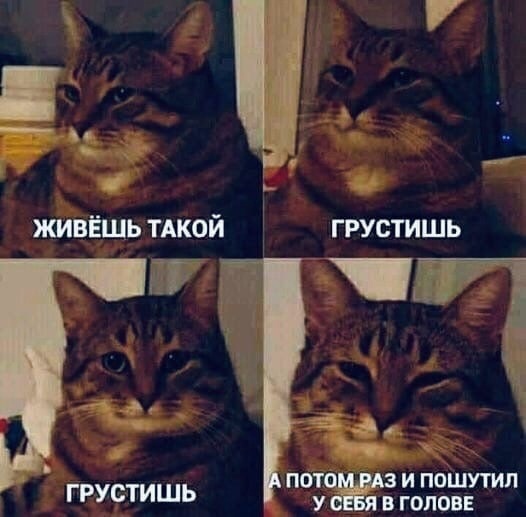 живёшь тдкой ГРУСТИШЬ 1 ч 1 ш _ Г грустишь к к 44 _ ПОТО З И ПОШУТИЛ В ГОЛОВЕ