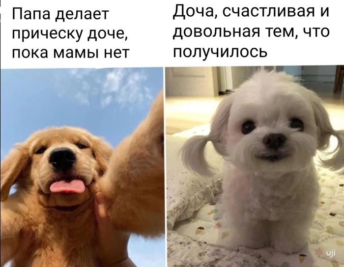 Папа делает Доча счастливая и прическу доче довольная тем что пока мамы нет получилось