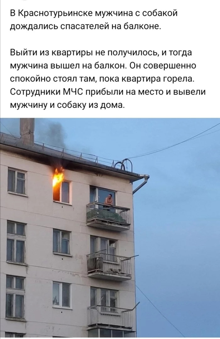 В Краснотурьинске мужчина с собакой дождались спасателей на балконе ВЫЙТИ ИЗ квартиры не ПОЛУЧИЛОСЬ И тогда мужчина вышел на балкон Он совершенно спокойно стоял там пока квартира горела Сотрудники МЧС прибыли на место и вывели мужчину и собаку из дома
