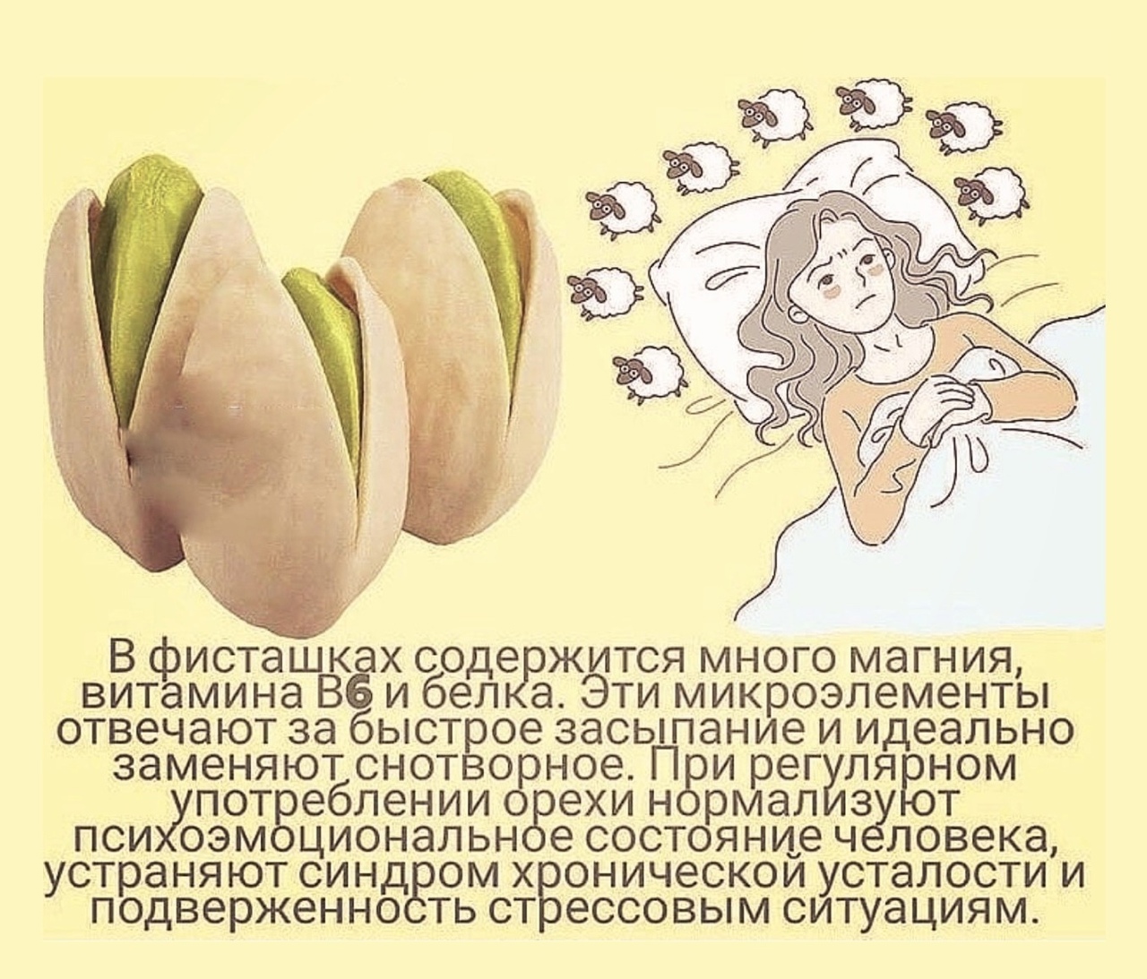 _ В фисташк х соде жится много магния витамина В и бел а Эти микроэлементы отвечают за быстЁое засыпание и идеально заменяют снот о ное П и рег ля ном употБеблении ехи н рмал 3 т пси оэм циональн е состояние ч ловека устраняют синд ом х оническои усталости и подверженно ть ст ессовым ситуациям
